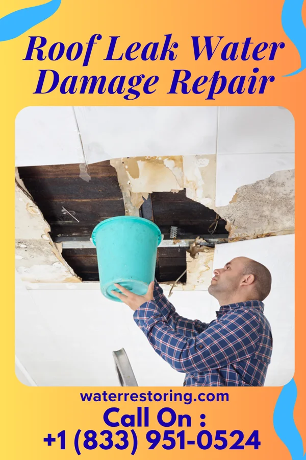 Roof Leak Water Damage Repair in Biglerville, PA