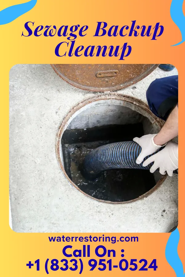Sewage Backup Cleanup in Biglerville, PA