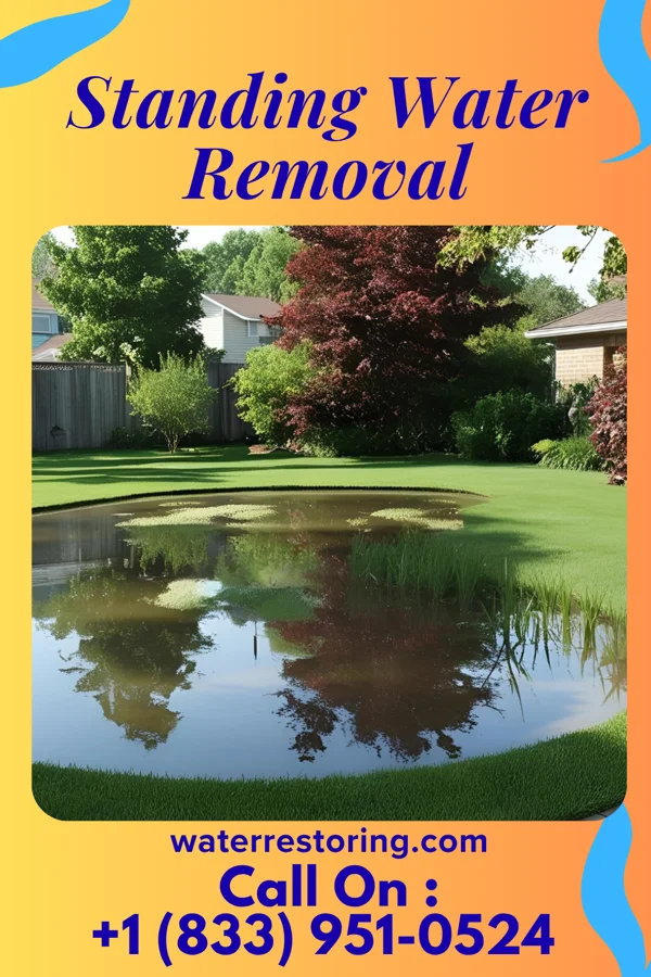Standing Water Removal in Biglerville, PA